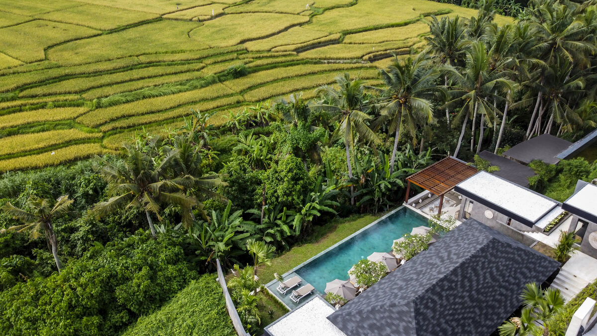 Private plunge pool overlooking rice fields